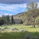 Shafter Campground