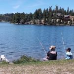 Lodgepole Campground