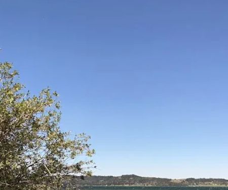Stuart Mill Bay Campground