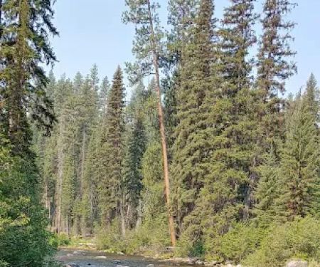 Ponderosa Campground