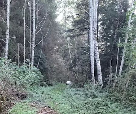 Elam Camp Camp Site