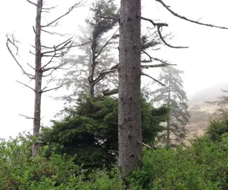 Agate Campground
