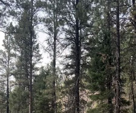 Rombo Campground