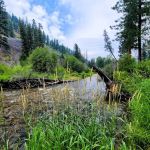 Alta Campground
