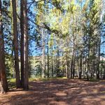 Twin Lakes Campground