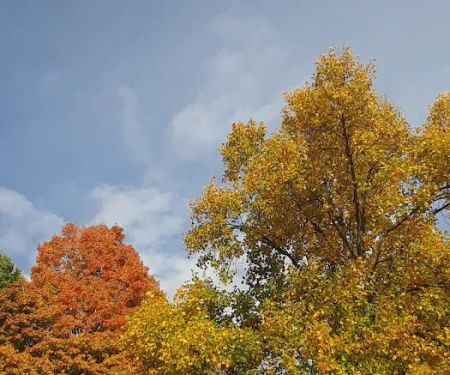 West Point Hills