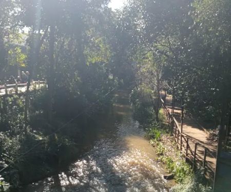 Aikens Creek West Campground