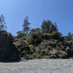 Nordheimer