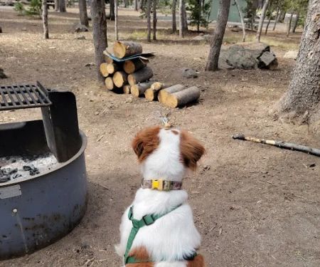 Medicine Campground