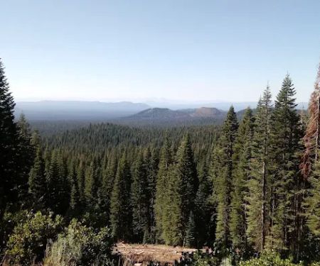 Hemlock Campground
