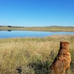 Bean Lake Campground