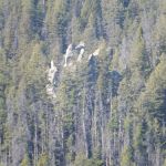 Whitehouse Campground