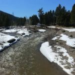 Sunshine Camp