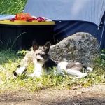 Lafferty Campground