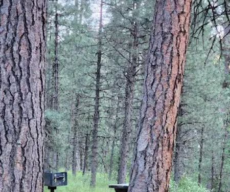 Ollokot Campground