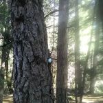 Madesi Campground