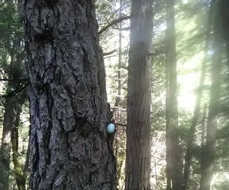 Madesi Campground