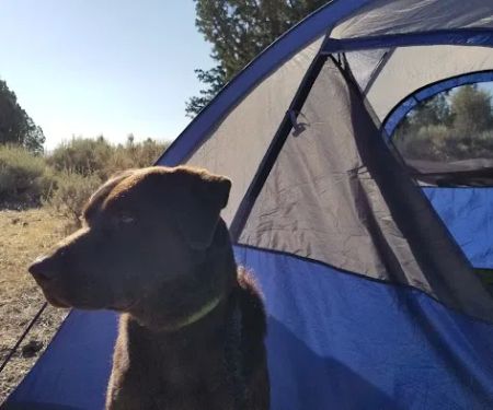 Indian Well Campground