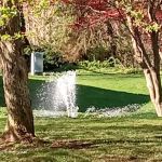 Brookshire Meadows