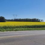 Anoka Acres MHP