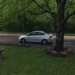 Beechwood Community