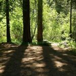 Brownlee Campground
