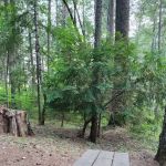 Ripstein Campground