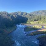Madrone Campground