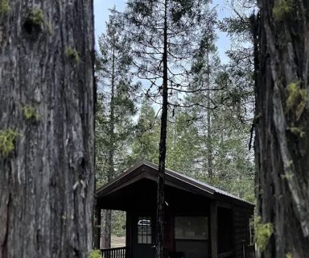 Pioneer Campground