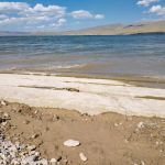 Lonetree Campground