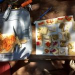 Tin Cup Campground