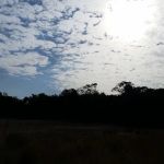 Paradise Campground