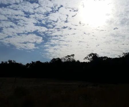 Paradise Campground