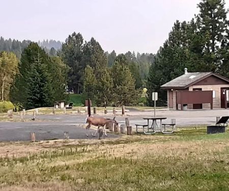 Blue Heron Campground