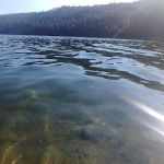 Tannery Gulch Cg-f