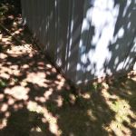 Brookhaven Park