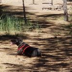 Hat Creek Campground