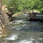 Big Pine Campground