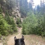 Vigilante Campground