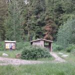 Bassar Diggins