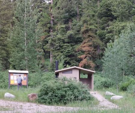 Bassar Diggins