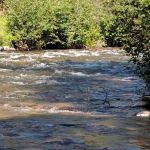 Deadwood Campground