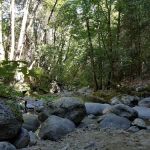 Crystal Creek