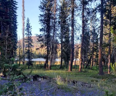Summit Lake Campground