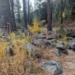 Big Eddy Campground