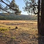 Dry Lake Campground