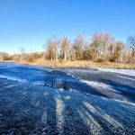 Pineview estates