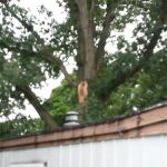 Holiday Terrace Mobile Home Park