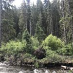 Swan Creek Campground