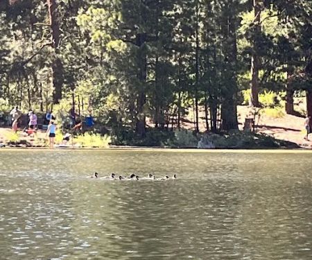 Antelope Campground